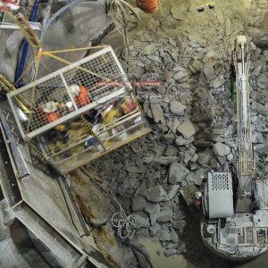 6 Person Crane Cage WP-NC2R - Image 4